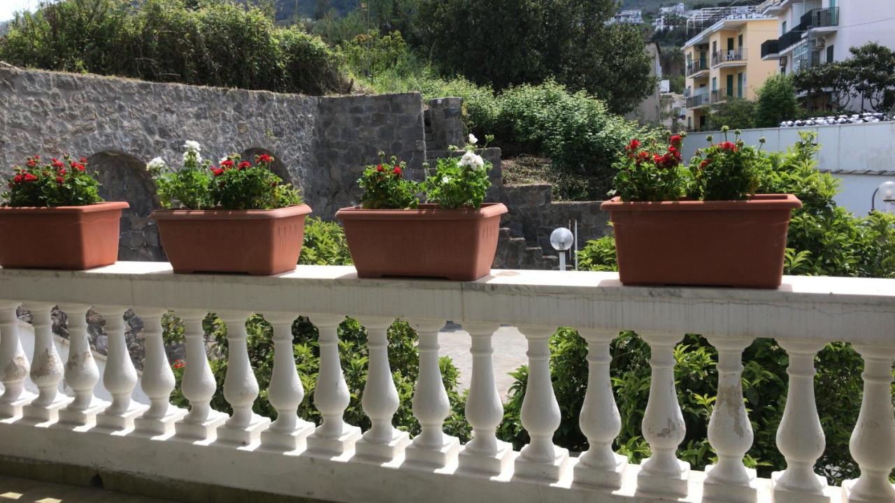 Villa Martina Suite Apartament Lacco Ameno  Exterior foto
